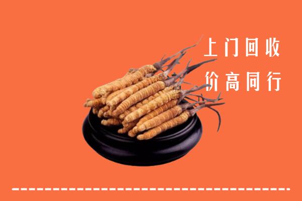 高价求购：张家口怀来县回收散虫草