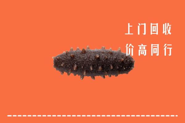 高价求购：张家口怀来县回收海参