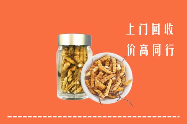 张家口怀来县回收冬虫夏草